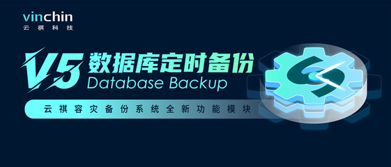 Vinchin Disaster Recovery 构建可靠的数据库定时备份体系